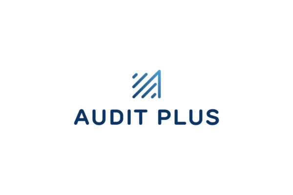 Branding and Identity, Audit Plus